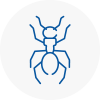 Ant Removals In Batley