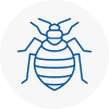 Bed Bug Extermination In Batley