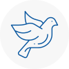 Bird Prevention Batley