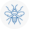 Batley Hornet Nest Removals