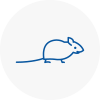 Mice Exterminators In Batley