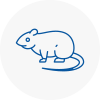 Rat Control Batley