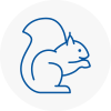 Batley Rodent Removals