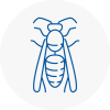 Batley Wasp Nest Removal